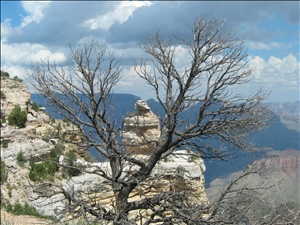 Grand Canyon-2005 009.jpg